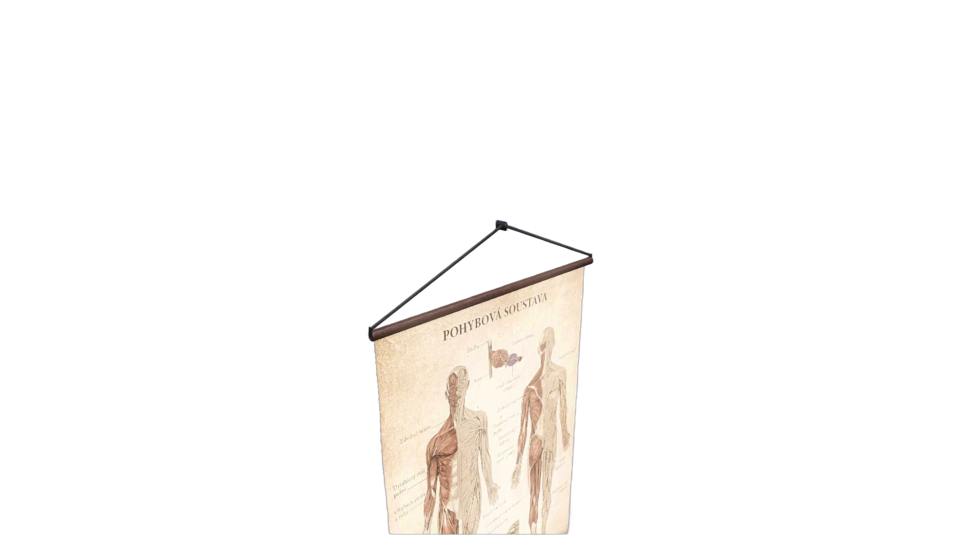 DayZ StaticObj_Furniture_anatomy_poster_1 - Staticobj Furniture Anatomy Poster 1 image