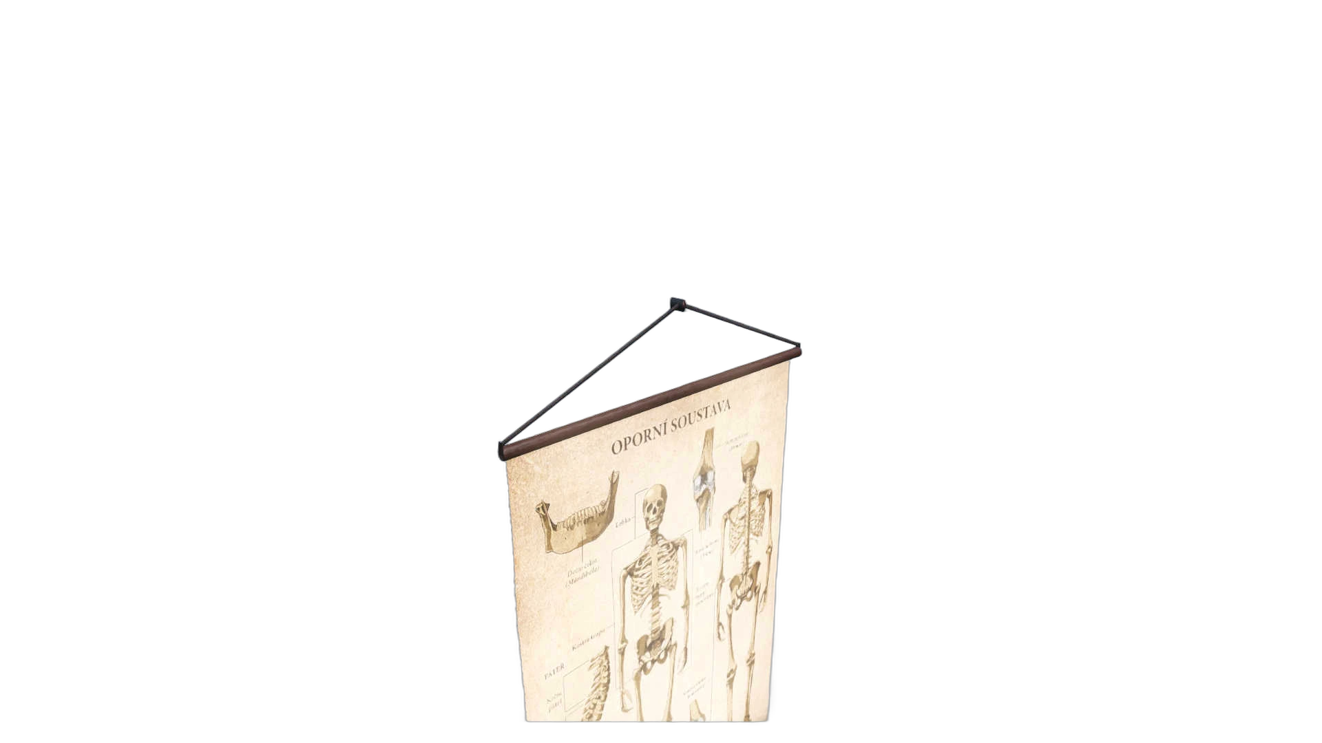 DayZ StaticObj_Furniture_anatomy_poster_2 - Staticobj Furniture Anatomy Poster 2 image