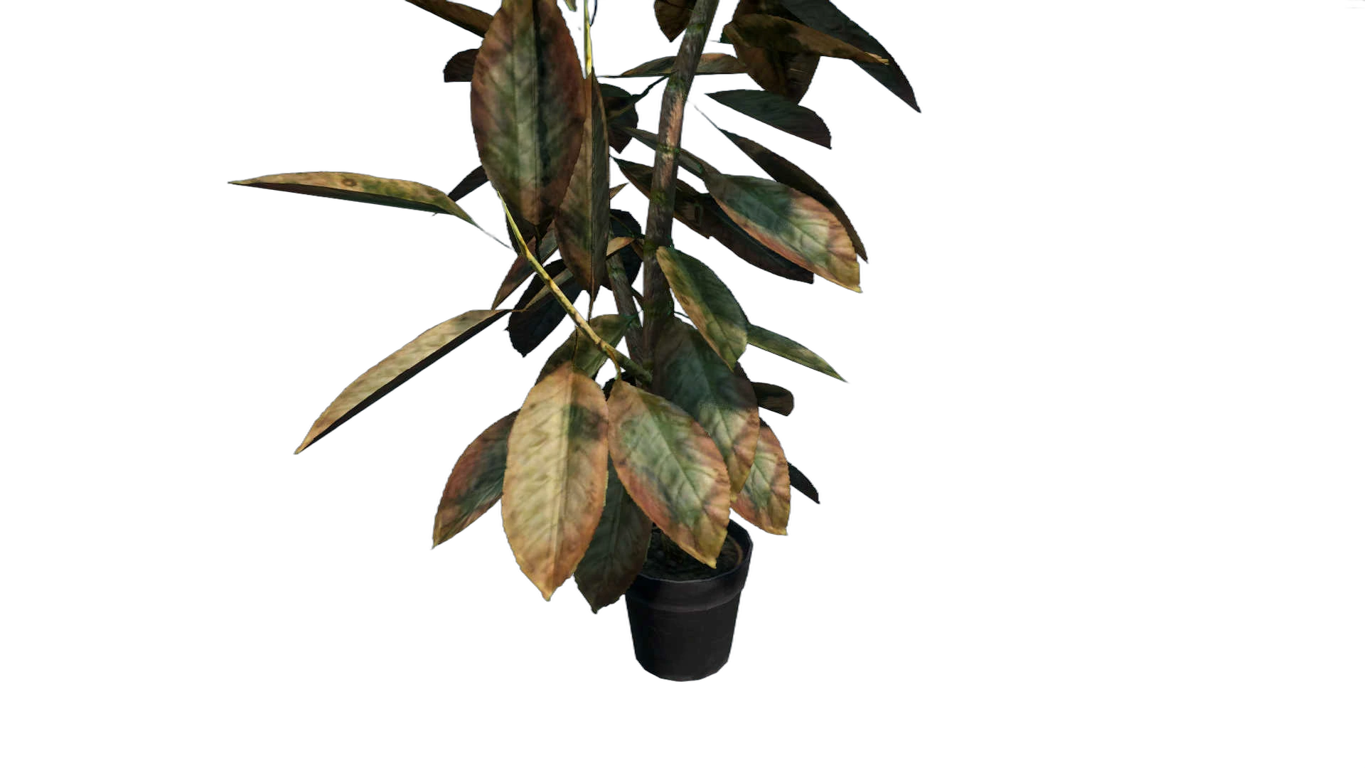 DayZ StaticObj_Furniture_flowers_02 - Staticobj Furniture Flowers 02 image
