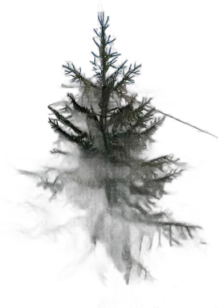 DayZ BushHard_b_PiceaAbies_1fb - Bushhard B Piceaabies 1Fb image
