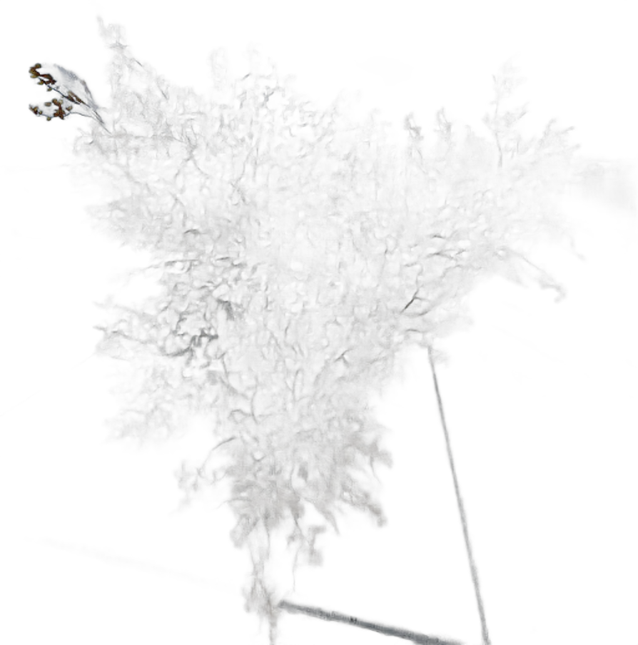 DayZ BushHard_b_corylusAvellana_2s - Bushhard B Corylusavellana 2S image