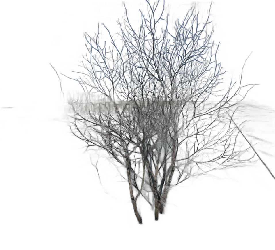 DayZ BushHard_b_naked_2s - Bushhard B Naked 2S image