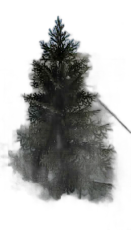 DayZ BushHard_t_PiceaAbies_1s - Bushhard T Piceaabies 1S image