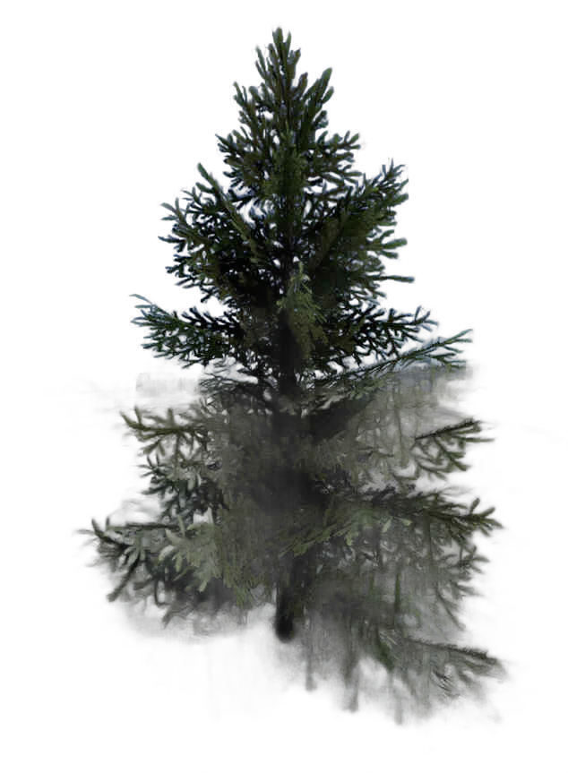 DayZ BushHard_t_PiceaAbies_1s_summer - Bushhard T Piceaabies 1S Summer image