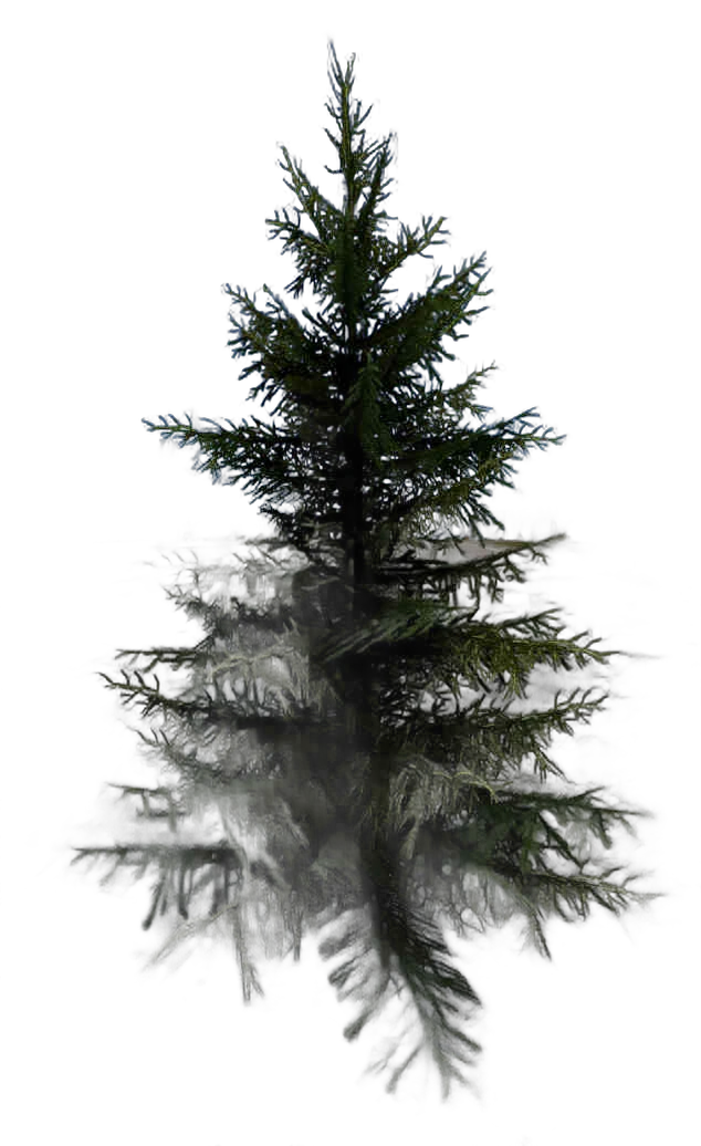 DayZ BushHard_t_PiceaAbies_1sb_summer - Bushhard T Piceaabies 1Sb Summer image