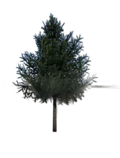 DayZ BushSoft_b_PiceaAbies_1f - Bushsoft B Piceaabies 1F image