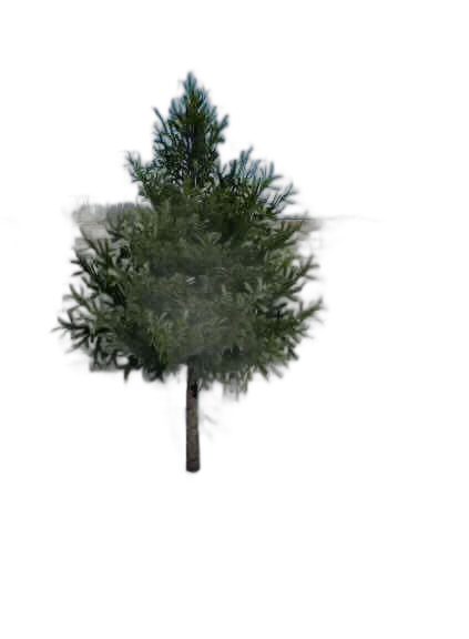 DayZ BushSoft_b_PiceaAbies_1f_summer - Bushsoft B Piceaabies 1F Summer image