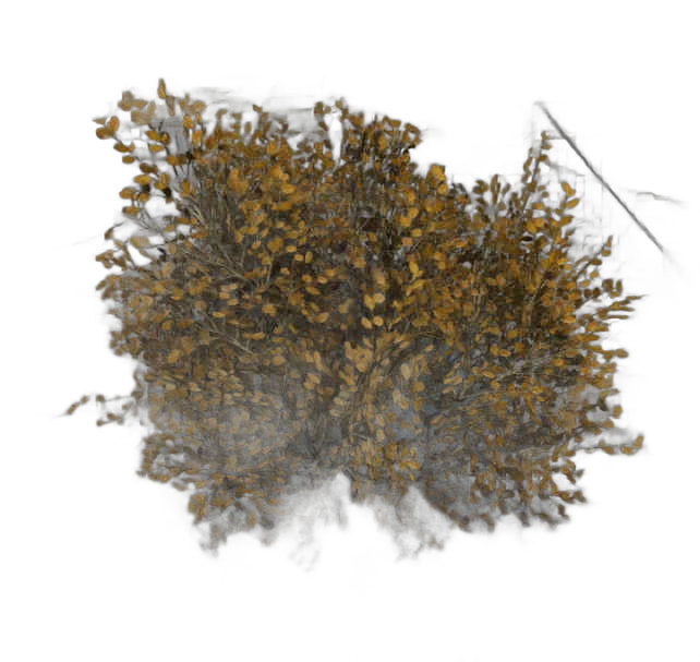 DayZ BushSoft_b_betulaHumilis_1s - Bushsoft B Betulahumilis 1S image