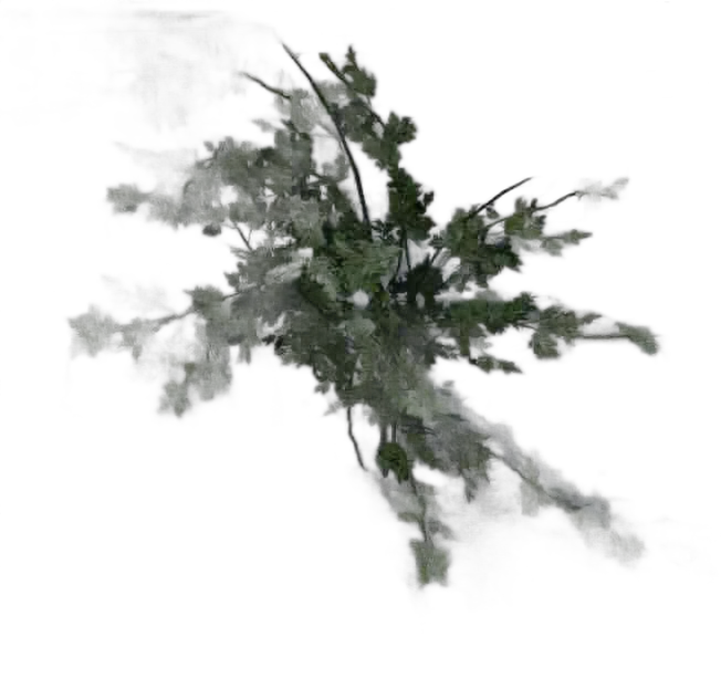 DayZ BushSoft_b_rosaCanina_1s_summer - Bushsoft B Rosacanina 1S Summer image