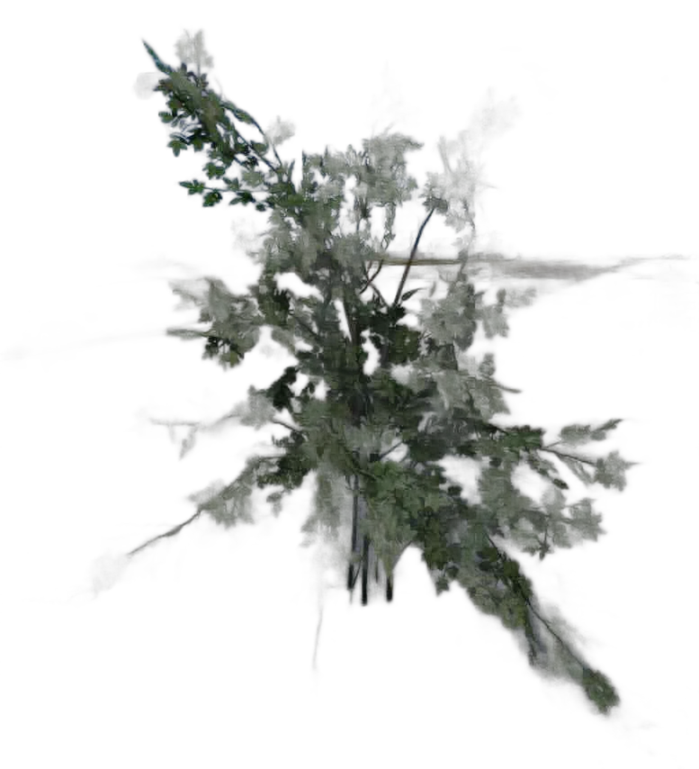 DayZ BushSoft_b_rosaCanina_2s_summer - Bushsoft B Rosacanina 2S Summer image