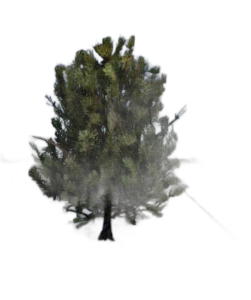 DayZ BushSoft_t_PinusSylvestris_1s - Bushsoft T Pinussylvestris 1S image