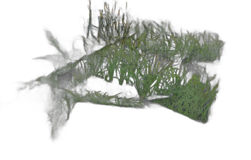 DayZ C_Grassanthoxanthum_Bended_Summer - C Grassanthoxanthum Bended Summer image