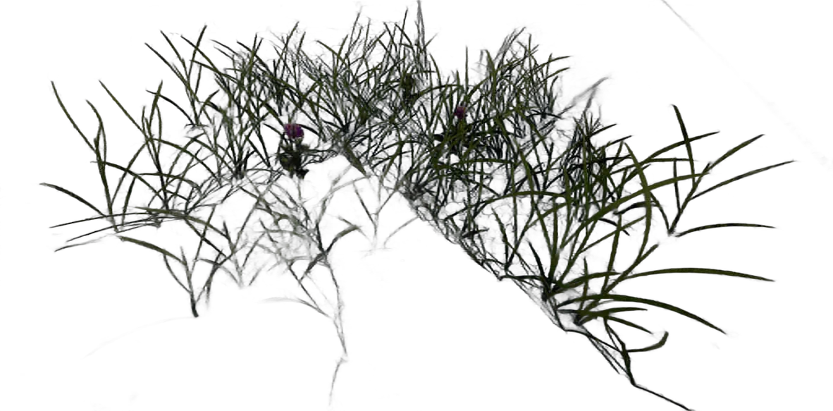 DayZ C_Grassflowerspurpleshort_Summer - C Grassflowerspurpleshort Summer image