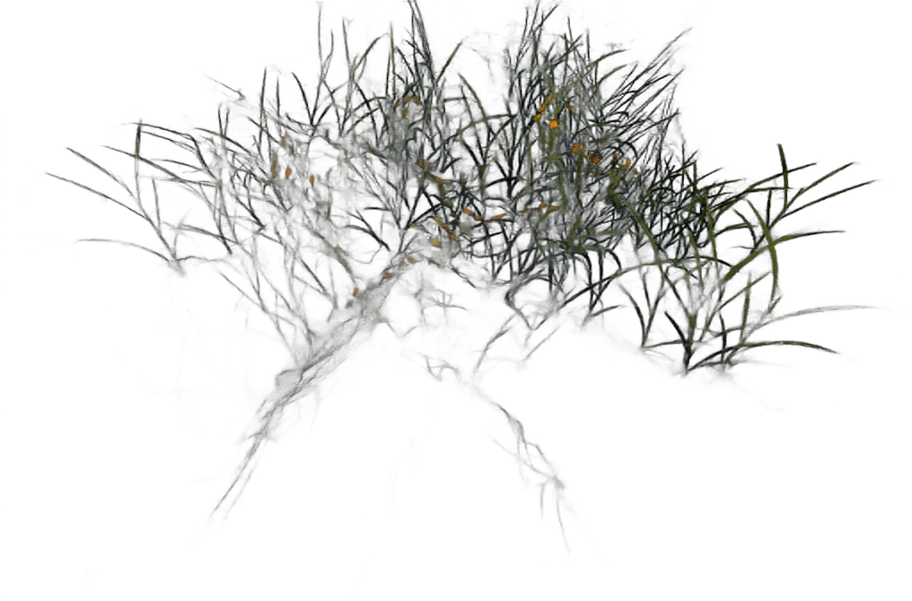 DayZ C_Grassflowersyellowshort_Summer - C Grassflowersyellowshort Summer image