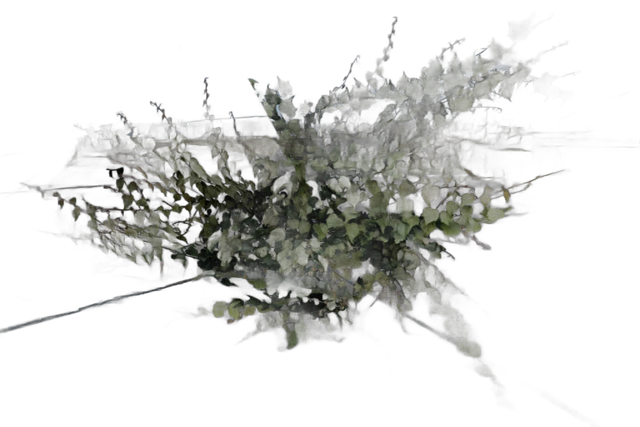 DayZ Dzplants_Blissbuildingivy_Special_A - Dzplants Blissbuildingivy Special A image