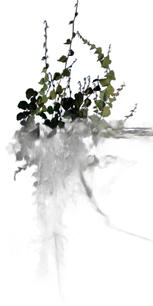 DayZ Dzplants_Blissbuildingivy_Special_B - Dzplants Blissbuildingivy Special B image