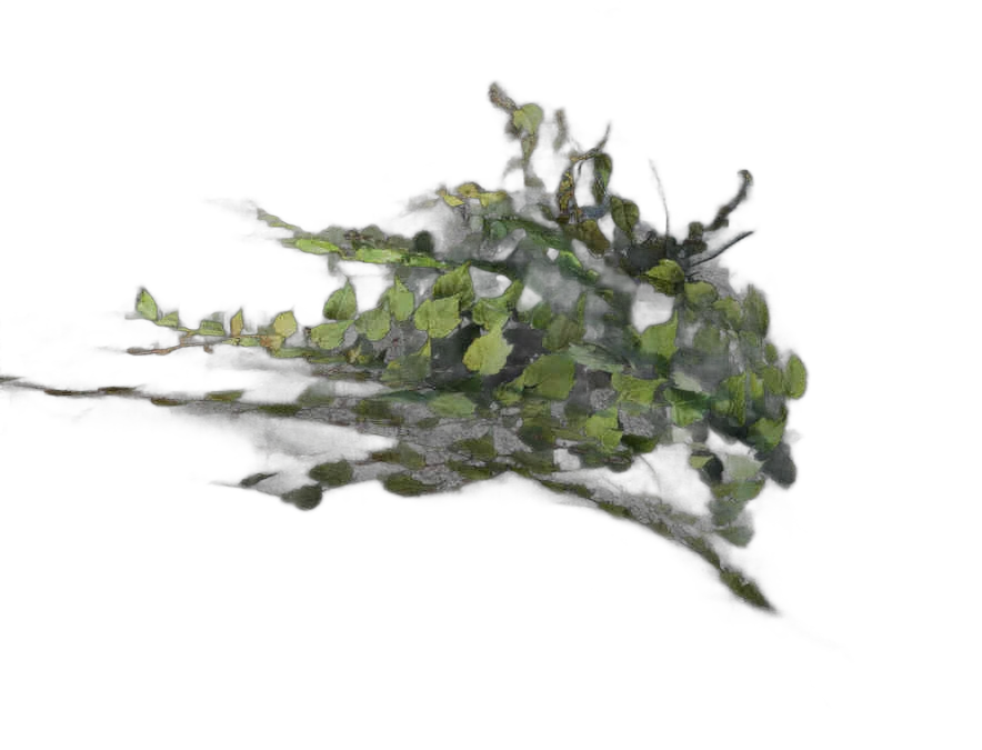 DayZ Dzplants_Blissbuildingivy_Special_C - Dzplants Blissbuildingivy Special C image