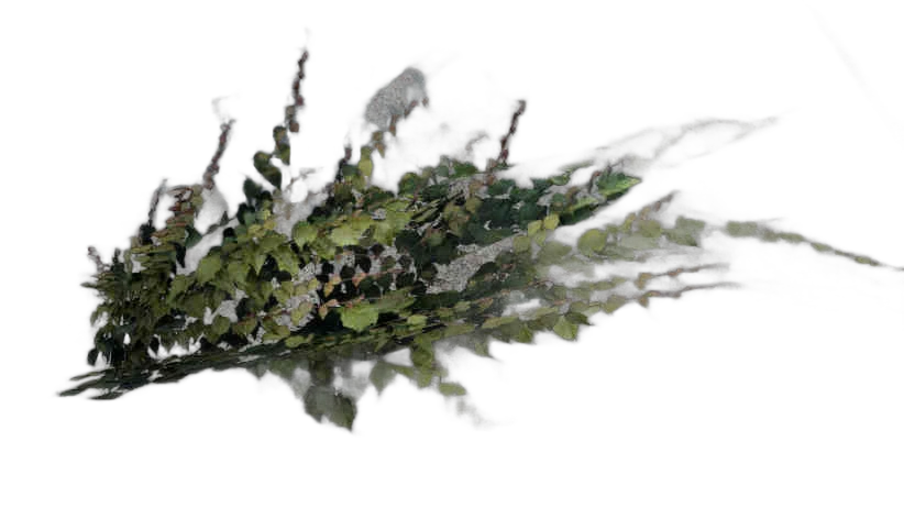 DayZ Dzplants_Blissbuildingivy_Special_D - Dzplants Blissbuildingivy Special D image