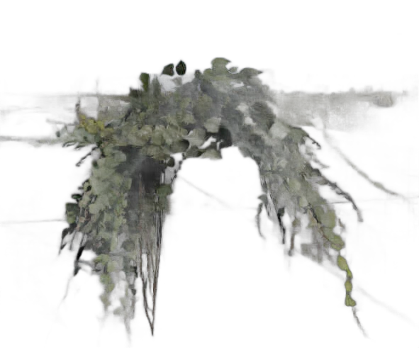 DayZ Dzplants_Blissbuildingivy_Special_F - Dzplants Blissbuildingivy Special F image