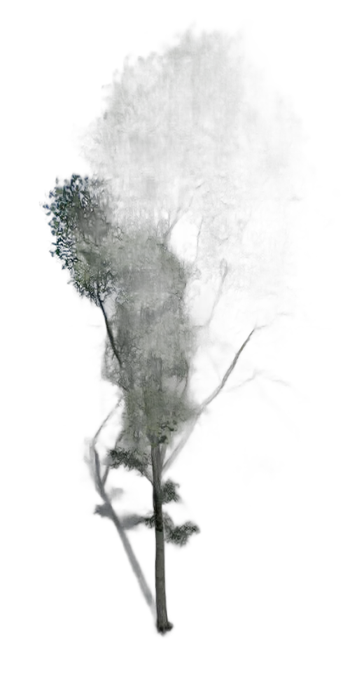DayZ TreeHard_t_FagusSylvatica_1fe_summer - Treehard T Fagussylvatica 1Fe Summer image