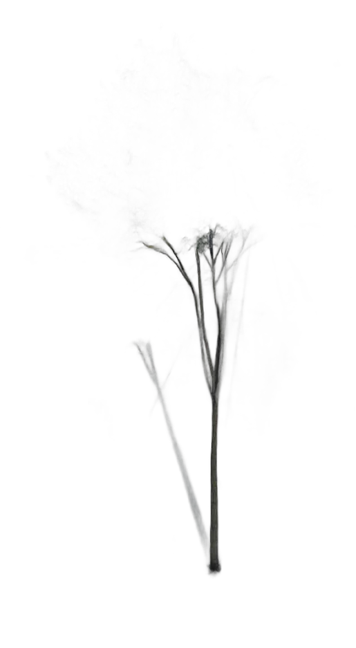 DayZ TreeHard_t_FagusSylvatica_2f_summer - Treehard T Fagussylvatica 2F Summer image