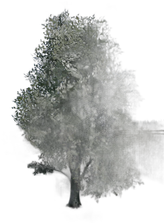 DayZ TreeHard_t_FagusSylvatica_2s_summer - Treehard T Fagussylvatica 2S Summer image