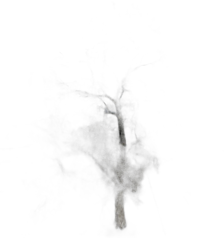 DayZ TreeHard_t_FraxinusExcelsior_2s - Treehard T Fraxinusexcelsior 2S image