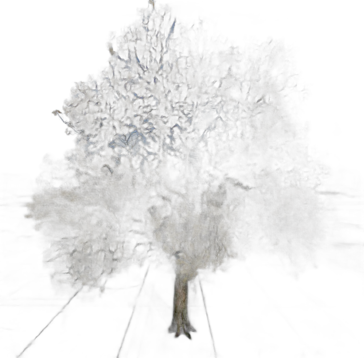 DayZ TreeHard_t_FraxinusExcelsior_3s - Treehard T Fraxinusexcelsior 3S image