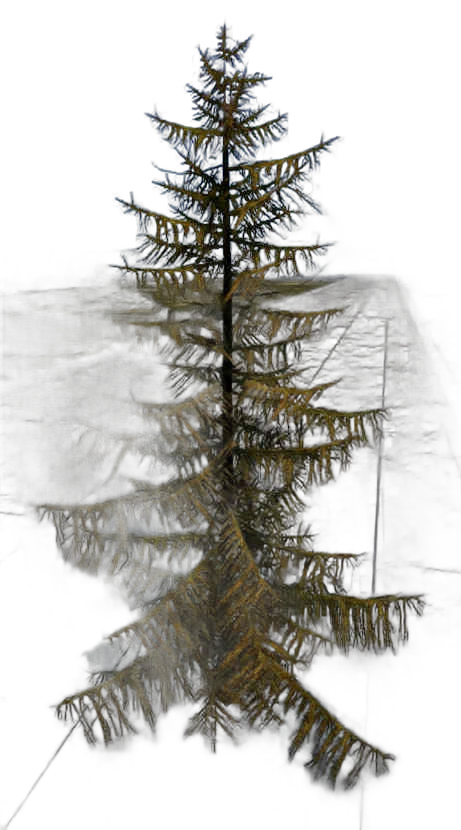 DayZ TreeHard_t_LarixDecidua_2s - Treehard T Larixdecidua 2S image