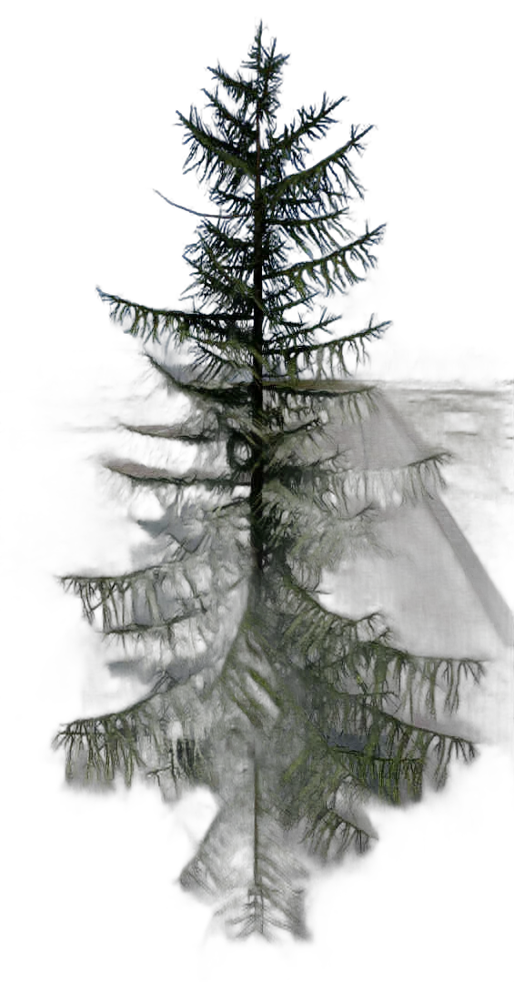 DayZ TreeHard_t_LarixDecidua_2s_summer - Treehard T Larixdecidua 2S Summer image