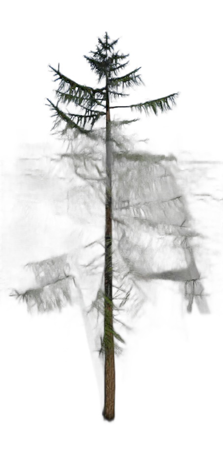 DayZ TreeHard_t_LarixDecidua_3f_summer - Treehard T Larixdecidua 3F Summer image