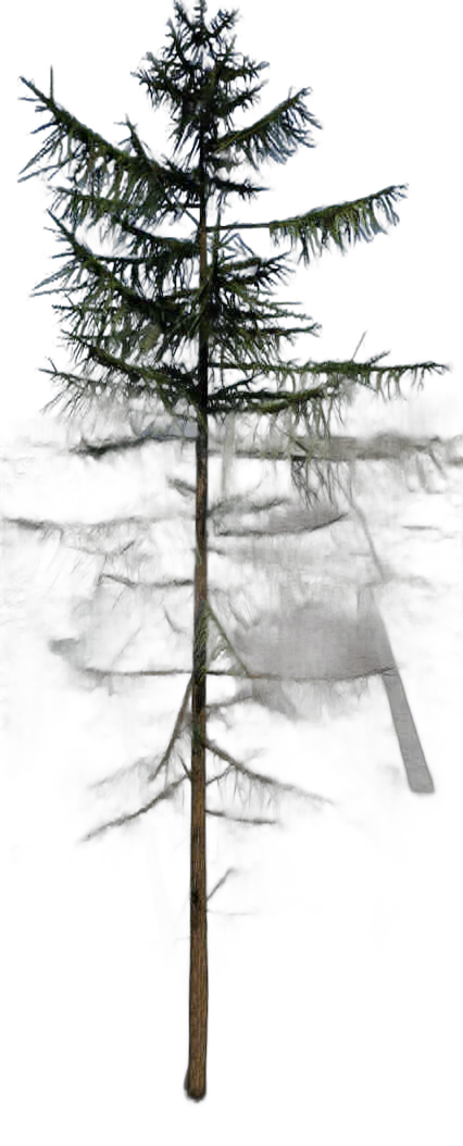 DayZ TreeHard_t_LarixDecidua_3fb_summer - Treehard T Larixdecidua 3Fb Summer image