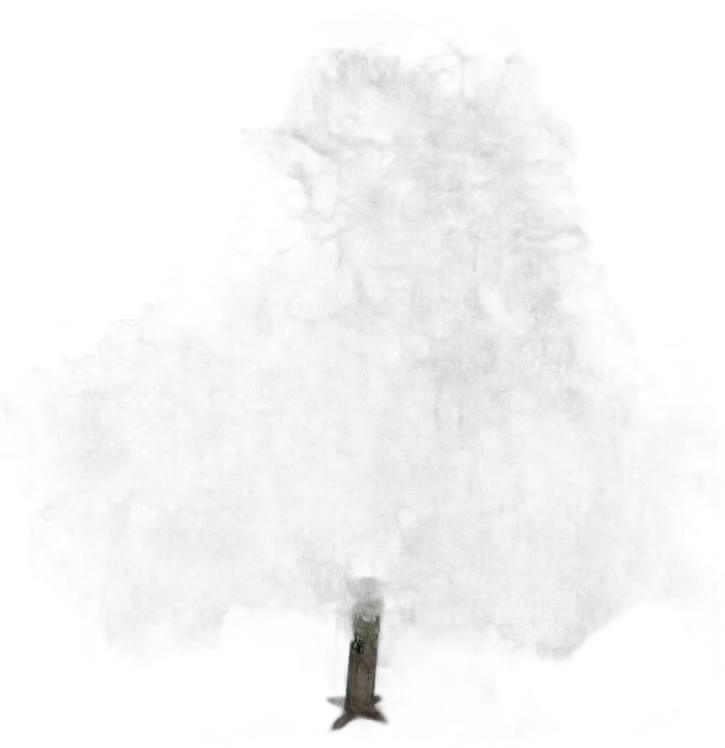 DayZ TreeHard_t_acer_2s_summer - Treehard T Acer 2S Summer image