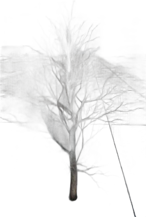 DayZ TreeHard_t_naked_1s - Treehard T Naked 1S image