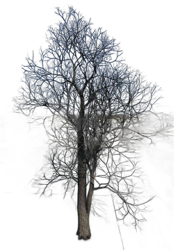 DayZ TreeHard_t_naked_2s - Treehard T Naked 2S image