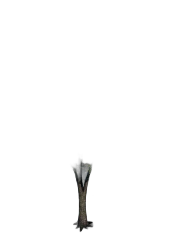 DayZ TreeHard_t_pyrusCommunis_3s_summer - Treehard T Pyruscommunis 3S Summer image