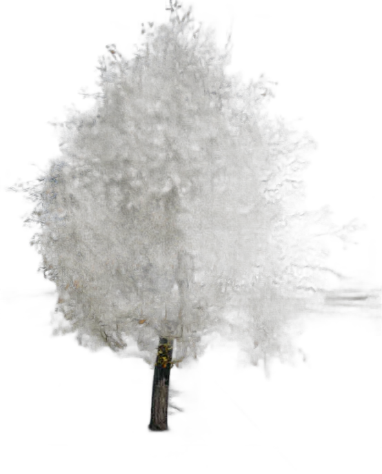 DayZ TreeHard_t_pyrusCommunis_3sb - Treehard T Pyruscommunis 3Sb image