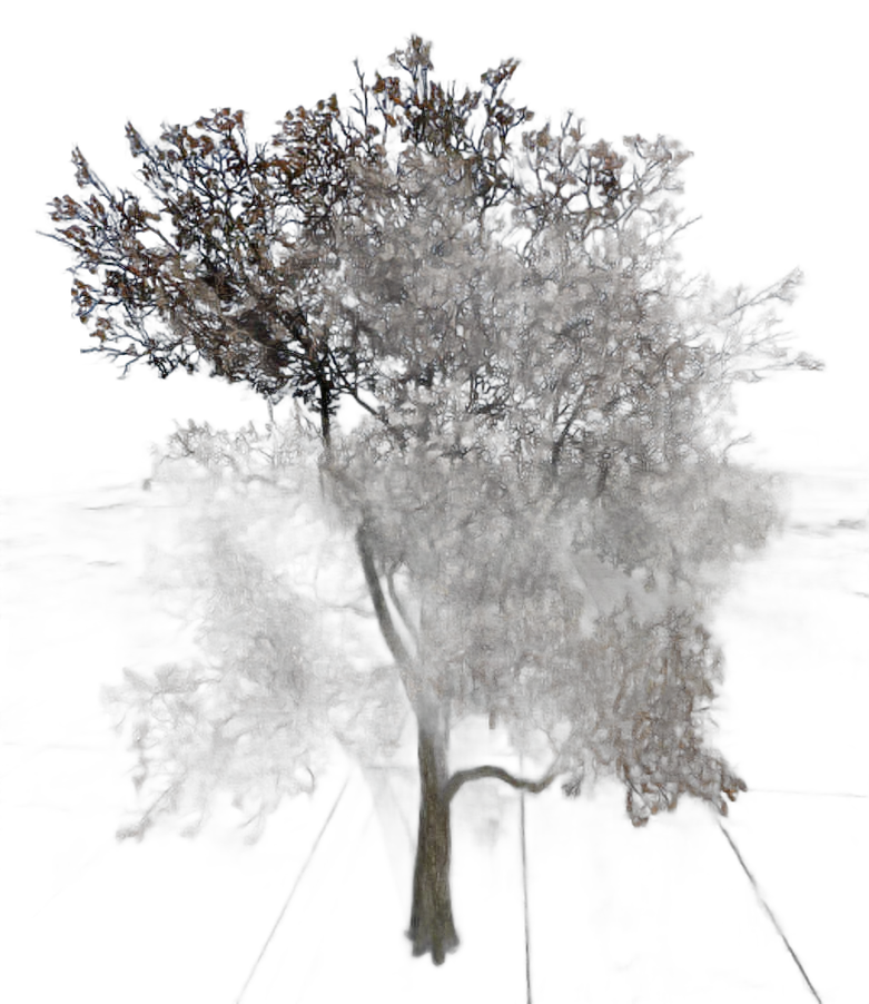 DayZ TreeHard_t_quercusRobur_2s - Treehard T Quercusrobur 2S image