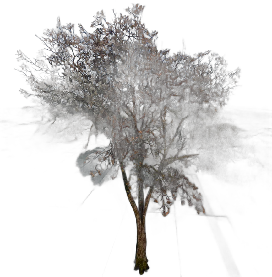 DayZ TreeHard_t_quercusRobur_2sb - Treehard T Quercusrobur 2Sb image