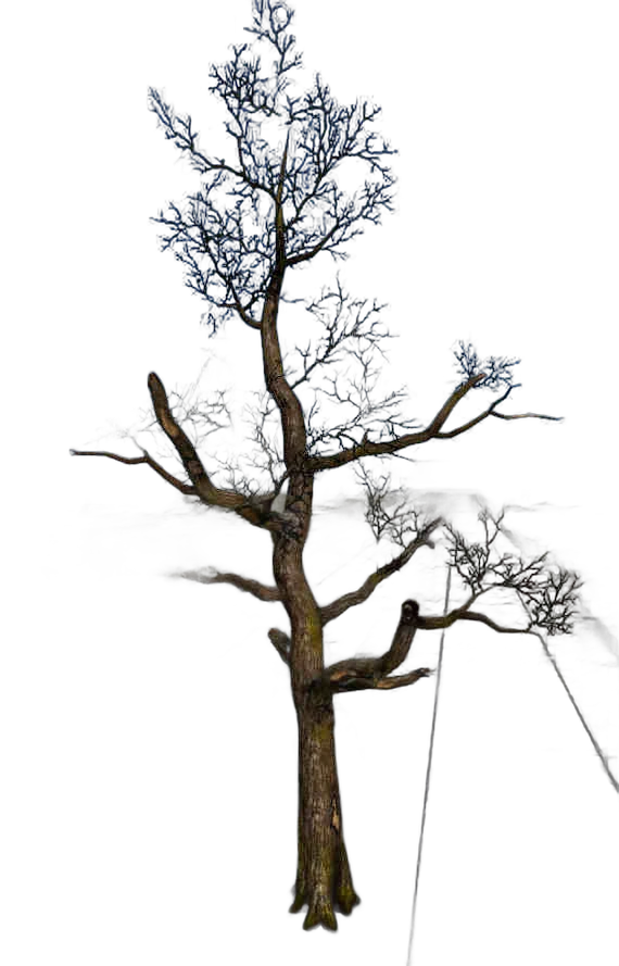 DayZ TreeHard_t_quercusRobur_3d - Treehard T Quercusrobur 3D image