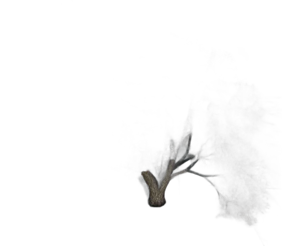 DayZ TreeHard_t_quercusRobur_3sb - Treehard T Quercusrobur 3Sb image