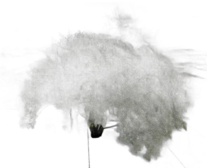 DayZ TreeHard_t_salixAlba_2sb - Treehard T Salixalba 2Sb image