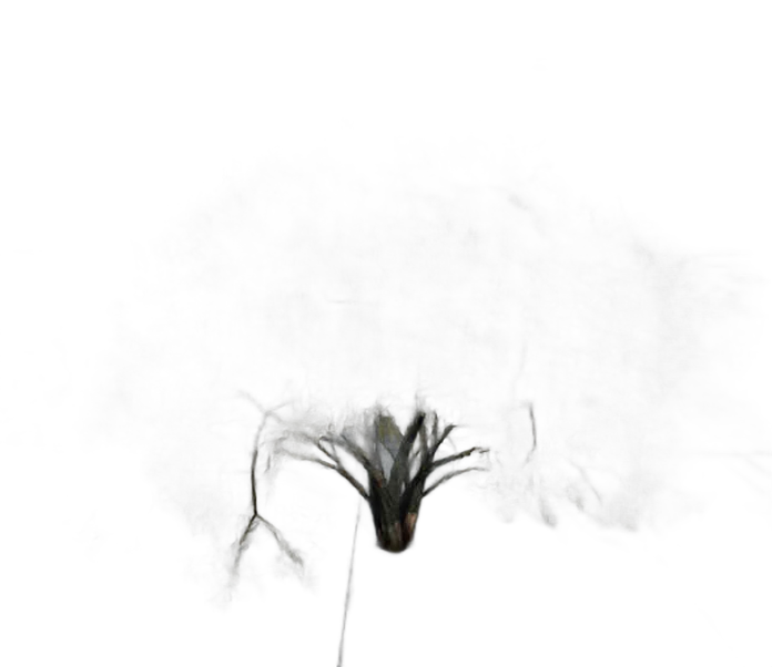 DayZ TreeHard_t_salixAlba_2sb_swamp - Treehard T Salixalba 2Sb Swamp image