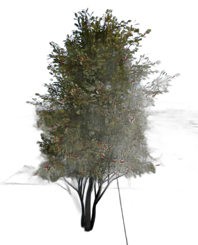 DayZ TreeHard_t_sorbus_2s - Treehard T Sorbus 2S image