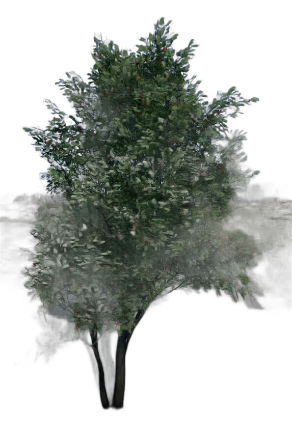 DayZ TreeHard_t_sorbus_2s_summer - Treehard T Sorbus 2S Summer image