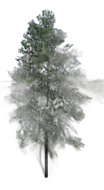 DayZ TreeSoft_t_FagusSylvatica_1s_summer - Treesoft T Fagussylvatica 1S Summer image