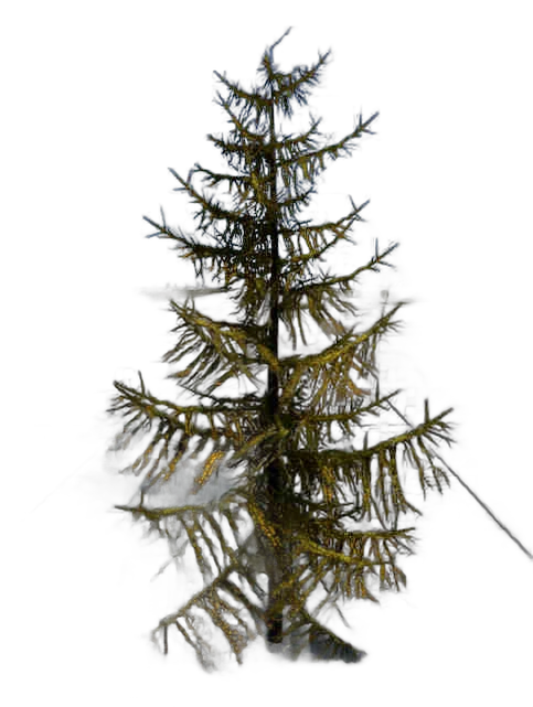 DayZ TreeSoft_t_LarixDecidua_1s - Treesoft T Larixdecidua 1S image