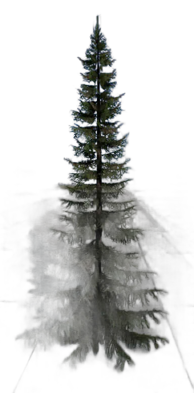 DayZ TreeSoft_t_PiceaAbies_2sb - Treesoft T Piceaabies 2Sb image