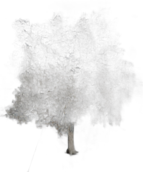 DayZ TreeSoft_t_malusDomestica_2s - Treesoft T Malusdomestica 2S image