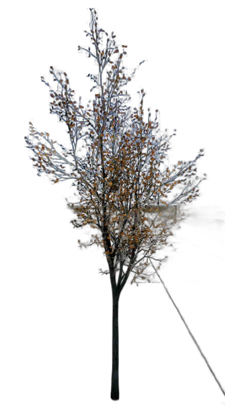 DayZ TreeSoft_t_town_1sb - Treesoft T Town 1Sb image